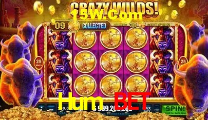 A Emoção da Loteria na Hum Bet: Uma Chance de Mudança de Vida